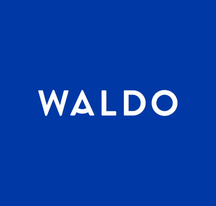 Cover image for WALDO TikTok Video Ad