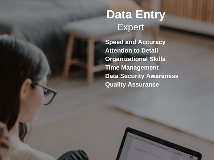 Cover image for Data entry expert