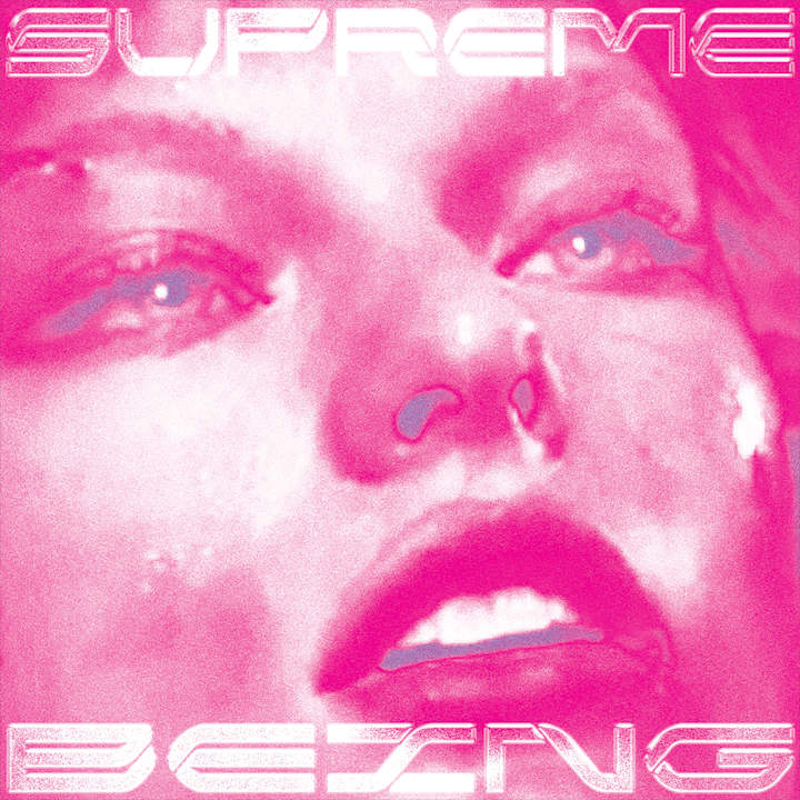 Cover image for Supreme Being