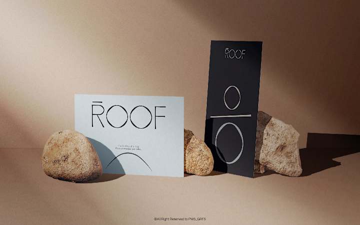 Cover image for ROOF