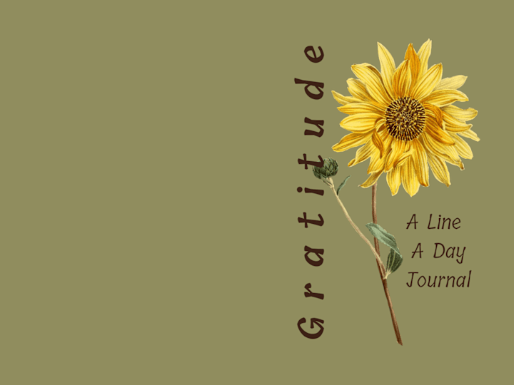 Cover image for Gratitude: A Line A Day 3 Year Journal