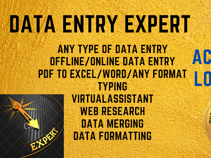 Cover image for Accurate data entry in low price