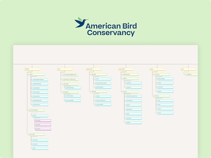 Cover image for American Bird Conservancy (UX Research)