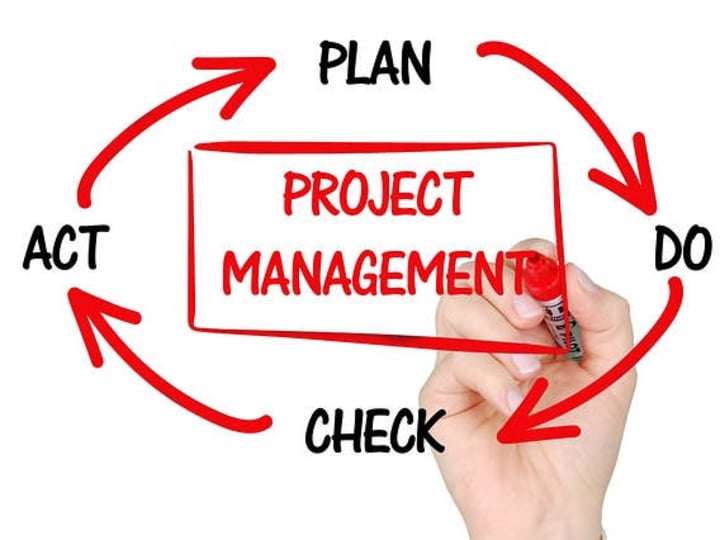 Cover image for Project management