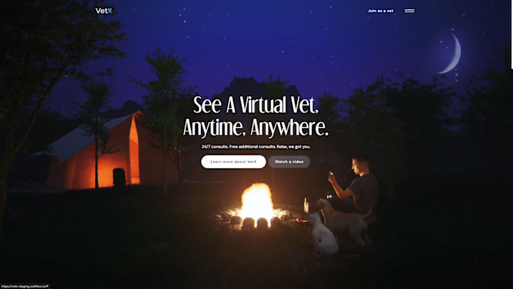 Cover image for VetX