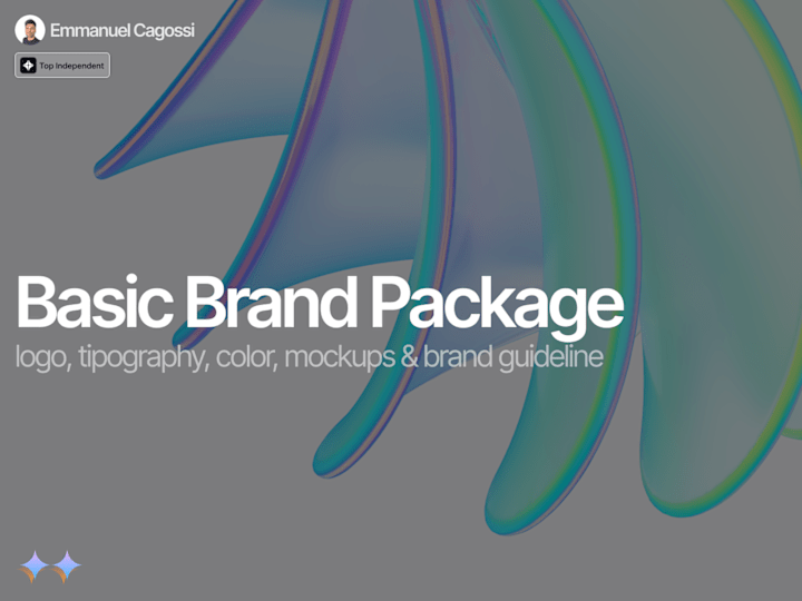 Cover image for Basic Brand Package :: From Zero to One