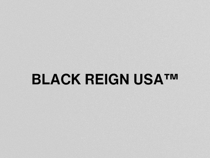 Cover image for BLACK REIGN USA