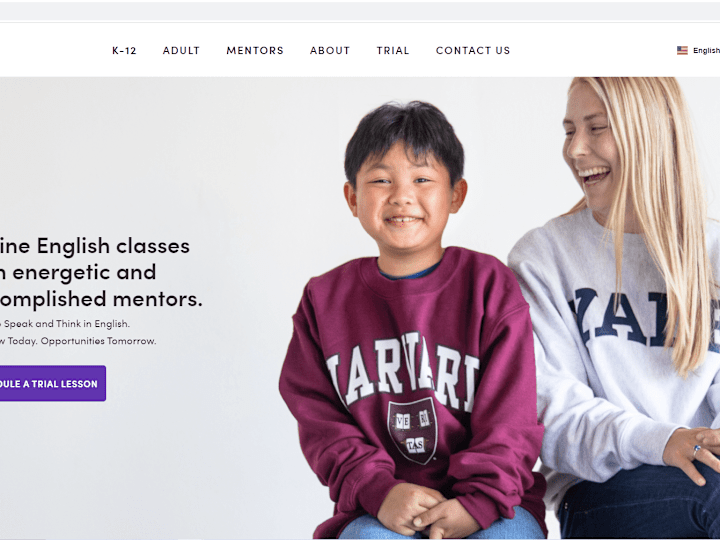 Cover image for Web Designer