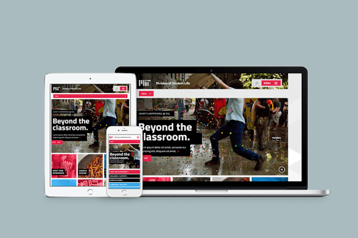 Cover image for MIT Division of Student Life