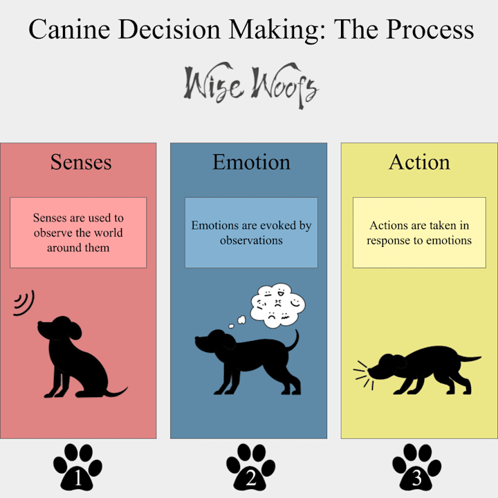 Cover image for Canine Decision Making Infographic