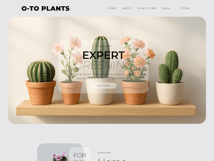 Cover image for 🌵 Plant Shop O-TO | Figma Design & Webflow Development