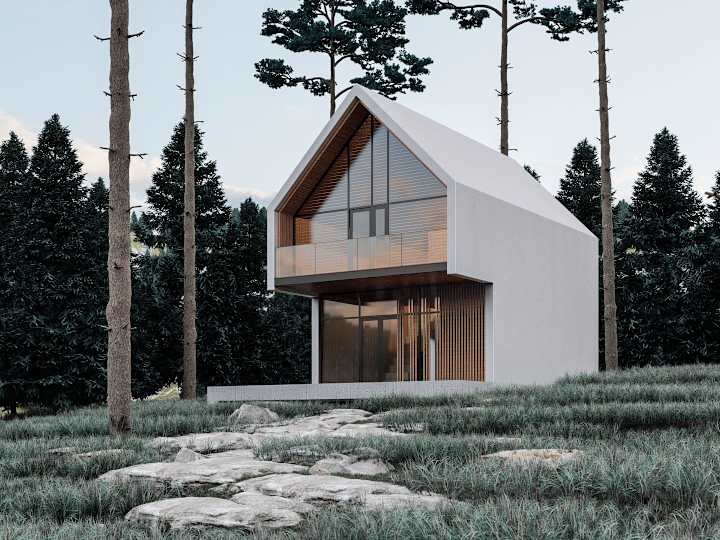 Cover image for VISUALIZATION OF A FOREST HOUSE