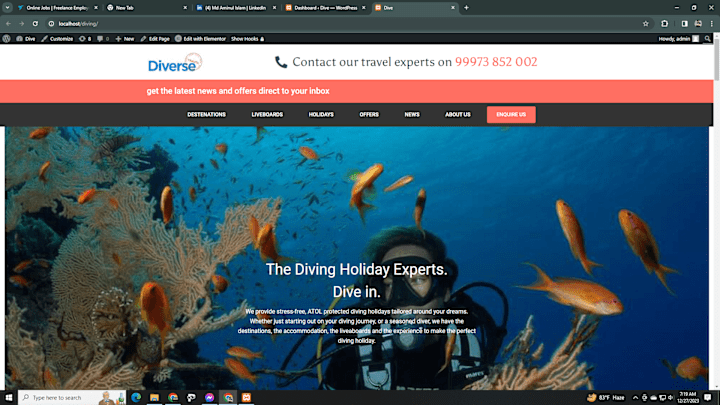 Cover image for Diving Holidays Website