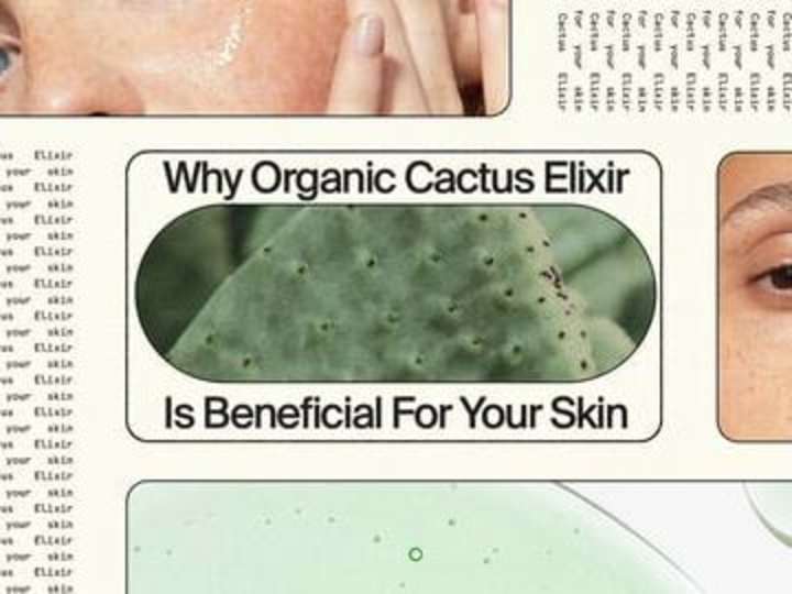 Cover image for [Meet The Muse] Organic Cactus Elixir
