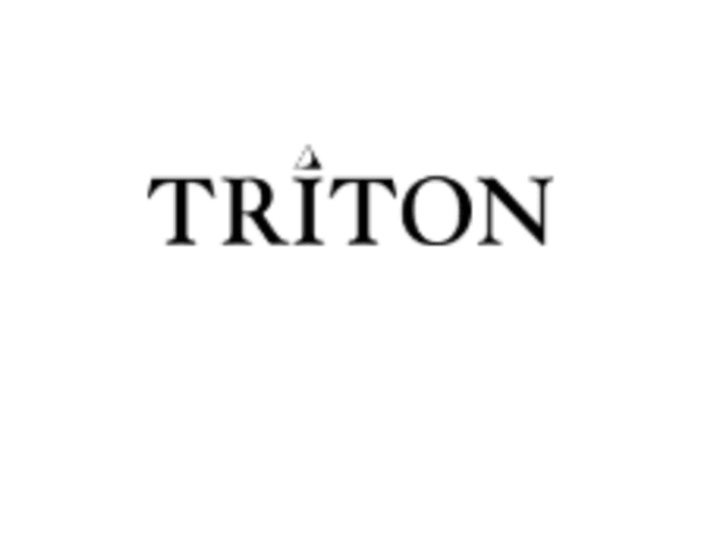 Cover image for Triton Consulting Group