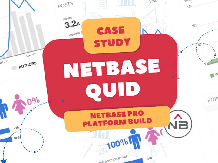 Cover image for 0-1 Platform Build of NetBase Pro 