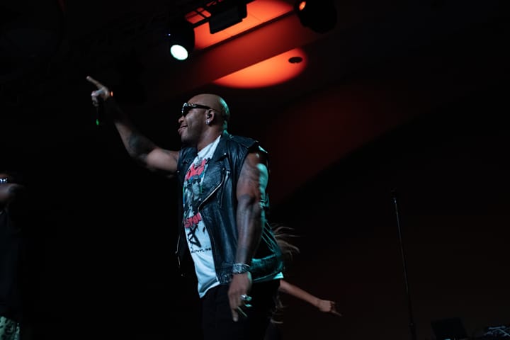 Cover image for Flo Rida Concert Photography