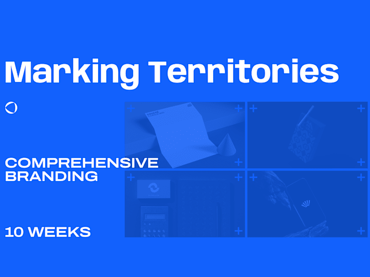 Cover image for Marking Territories - Comprehensive Branding