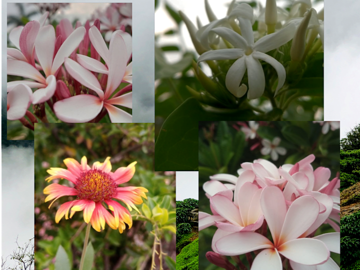 Cover image for PHOTOGRPAHY