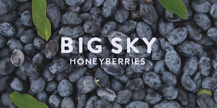 Cover image for Big Sky Honeyberries | Brand Strategy and Execution