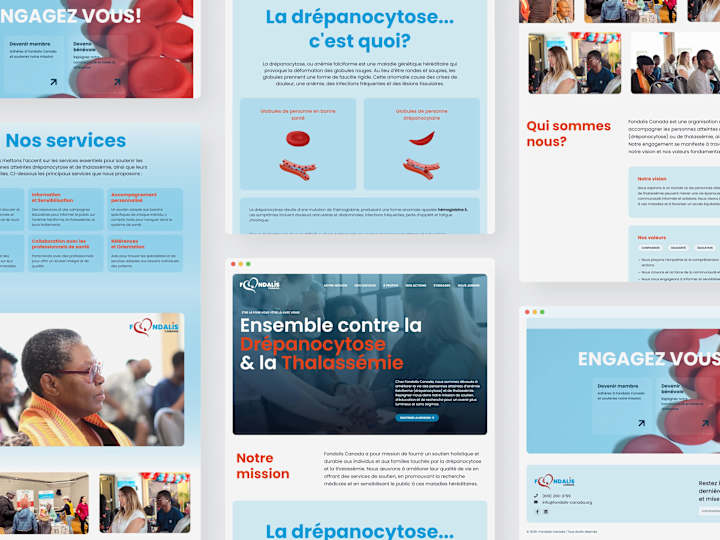 Cover image for Fondalis Canada Website Design and Development