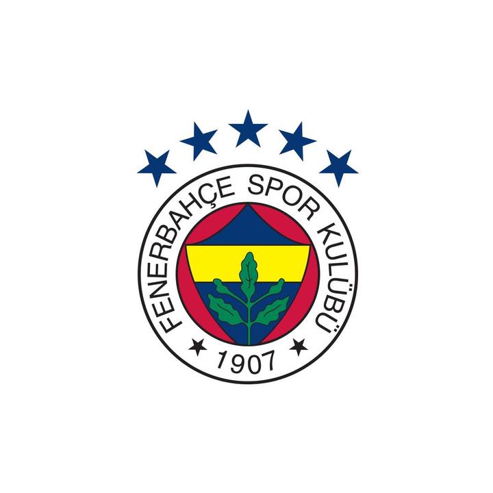 Cover image for Fenerbahçe SK (@fenerbahce) Official  | TikTok