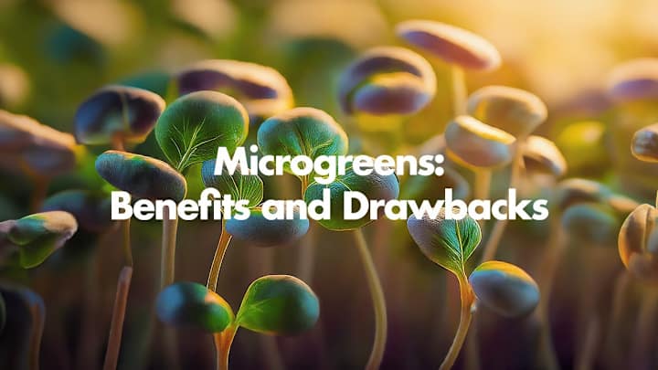 Cover image for AI Video Production: The Benefits and Drawbacks of Microgreens 