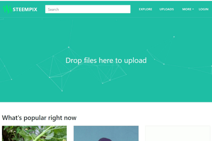 Cover image for Steempix.com