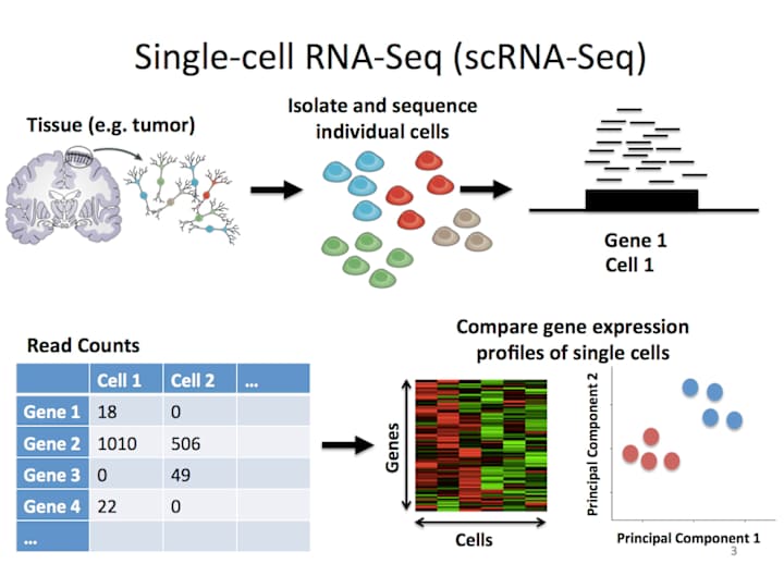 Cover image for Bioinformatics Pipeline 