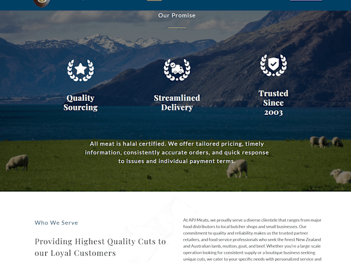 Cover image for Designed and Developed a New Website for Import Company