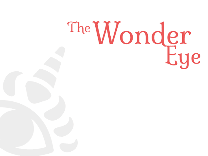 Cover image for The Wonder Eye