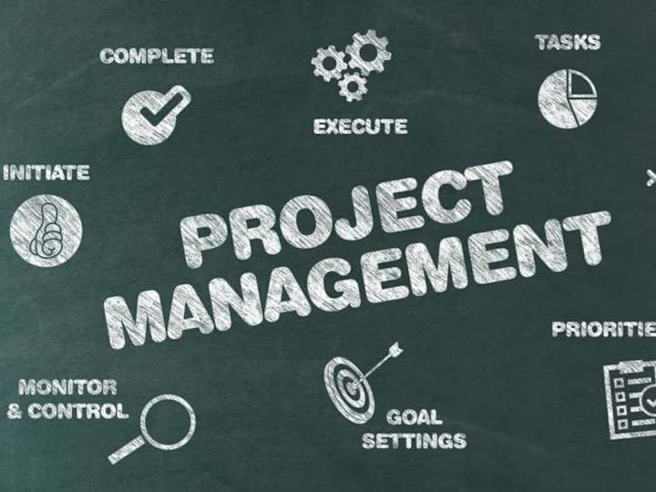 Cover image for Virtual Project Management