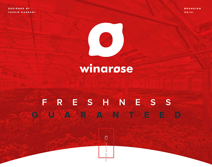 Cover image for Branding & Web design for a Trading Fresh Produce company