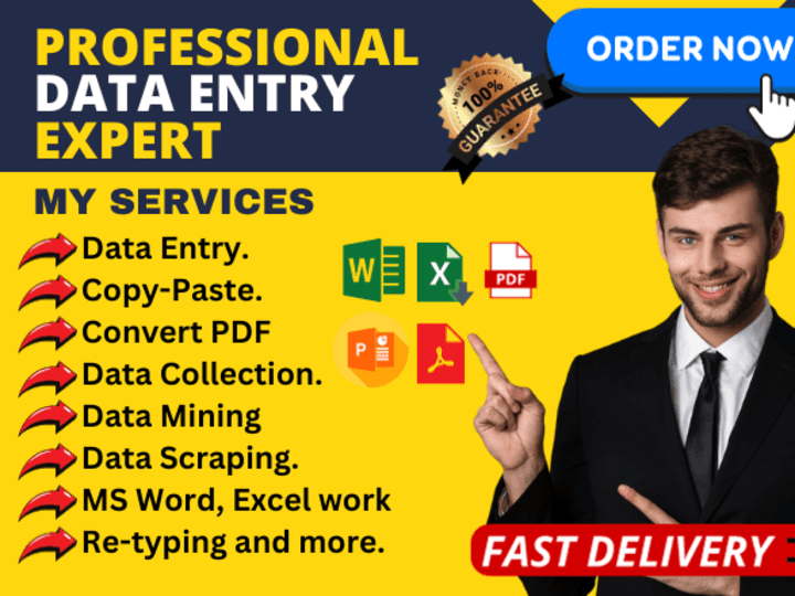 Cover image for Data Entry Expert