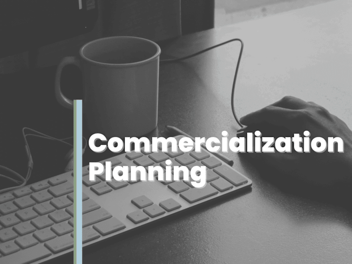 Cover image for Start-Up Commercialization Planning
