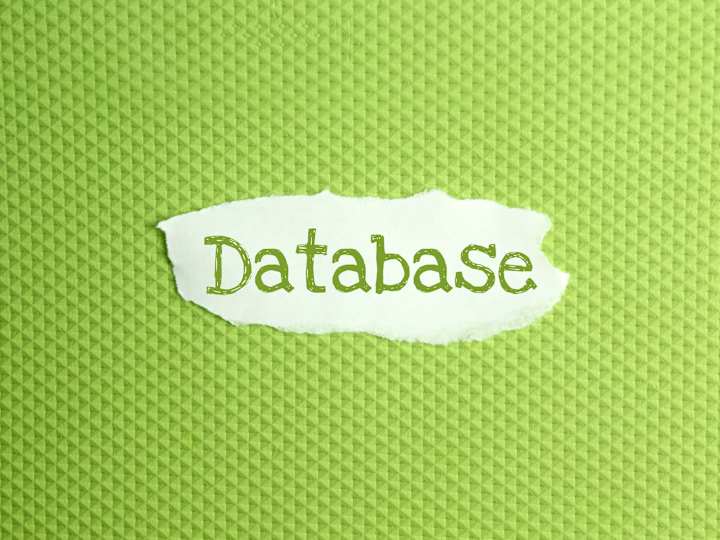 Cover image for Database Management