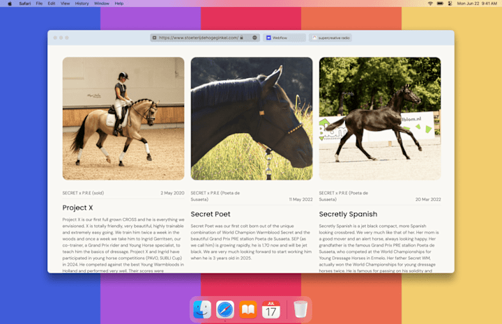 Cover image for Stoeterij De Hoge Ginkel - Equestrian Breeding Site Redesign