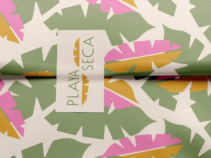 Cover image for Playa Seca: Branding, Packaging + Web Design