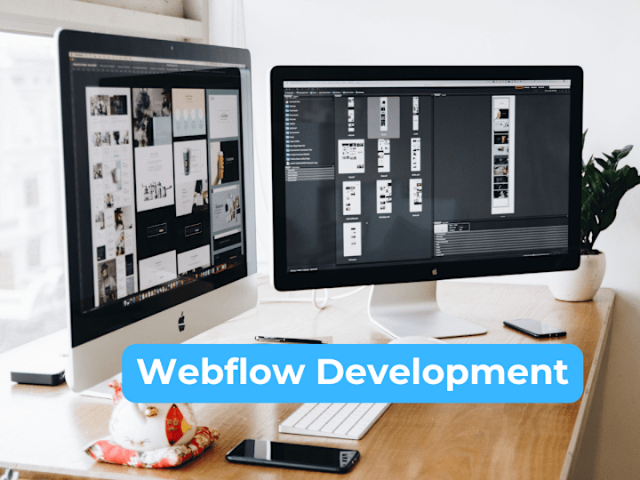 Cover image for Water that changes your life - Webflow Development