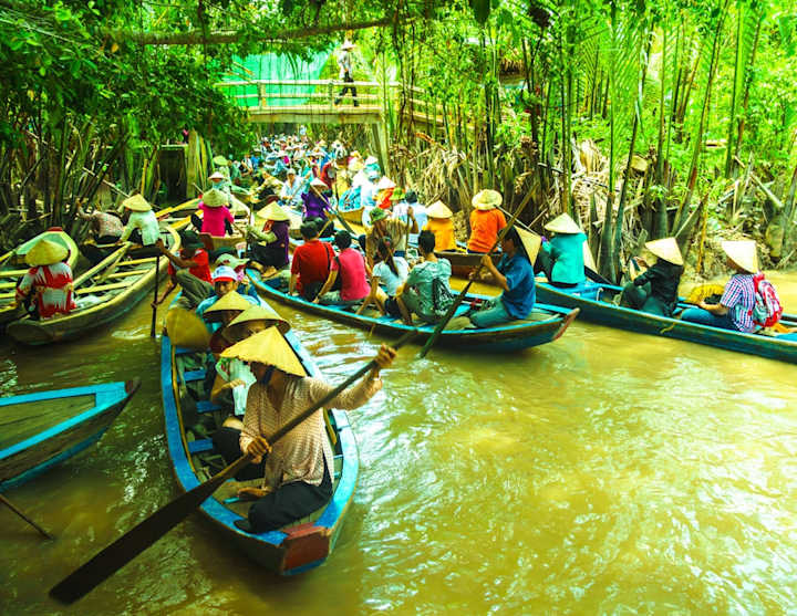 Cover image for Canoe Trips: Exploring Nature's Waterways