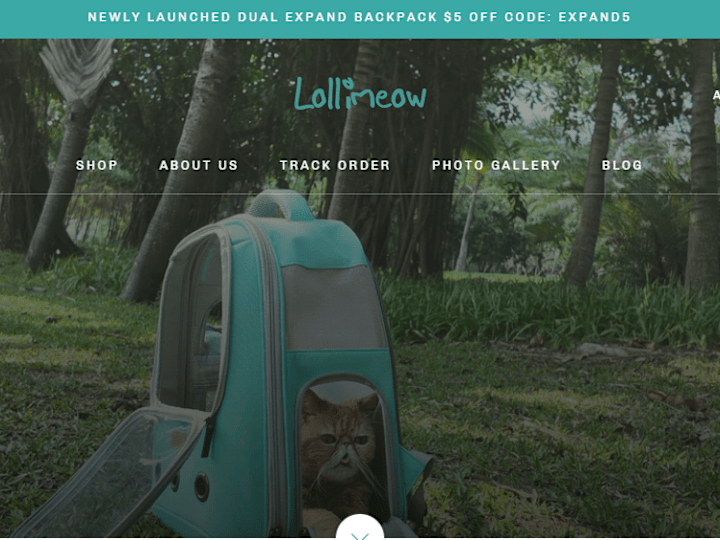 Cover image for Lollimeow cat transparent bubble carrier backpack