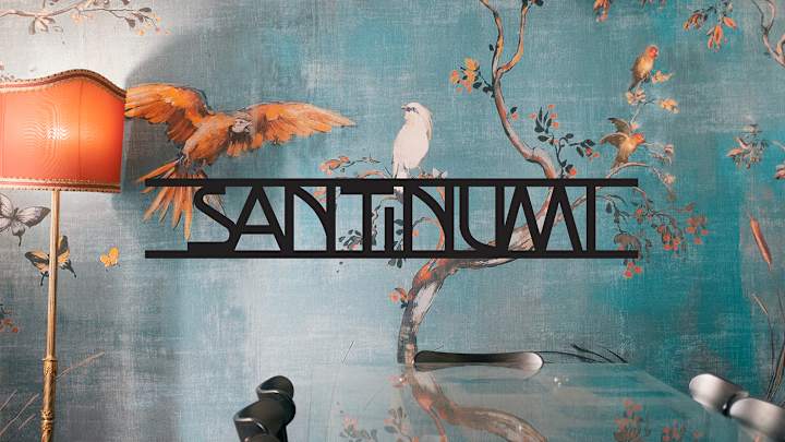 Cover image for SANTINUMI - brand identity