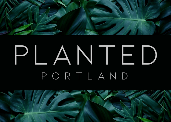 Cover image for Planted Portland I Brand Design & Development