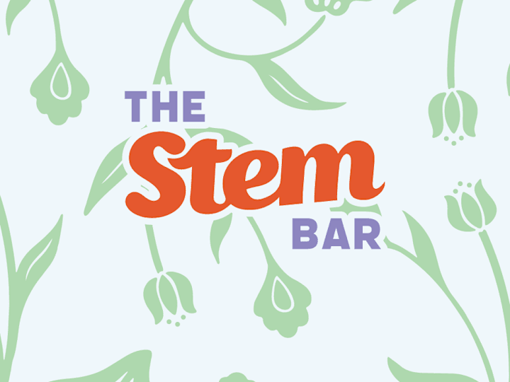 Cover image for The Stem Bar | Branding