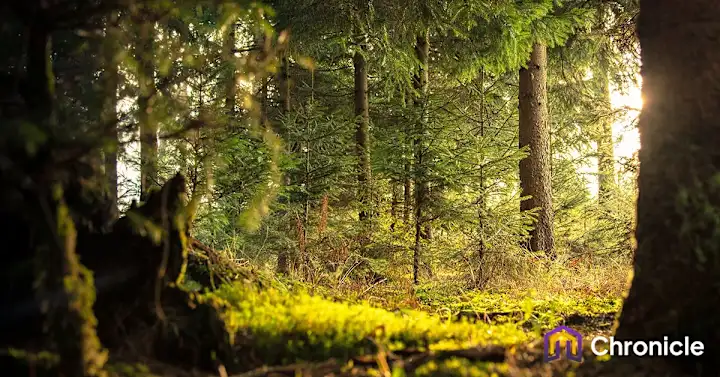 Cover image for How Natural Burial in Australia Can Realign Perception