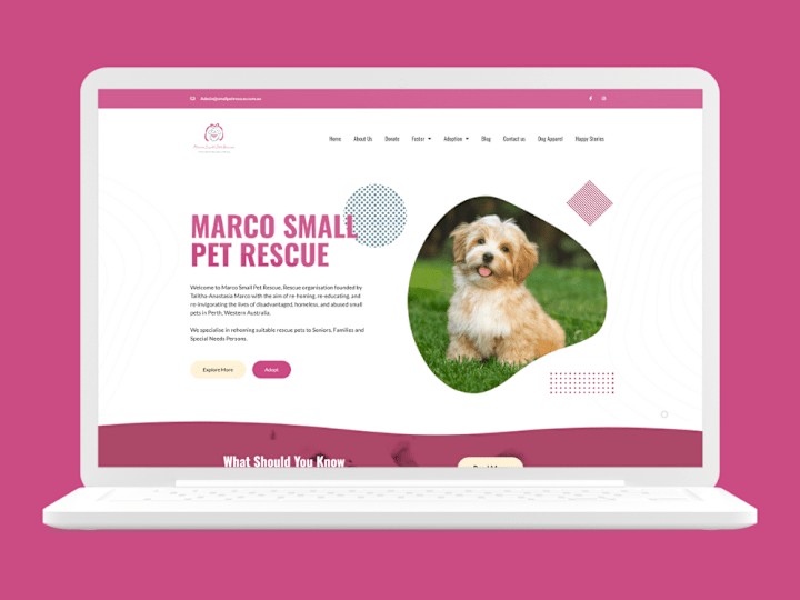 Cover image for Pet Rescue – Marco Small Pet Rescue