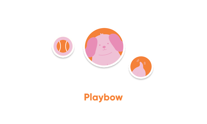 Cover image for Playbow