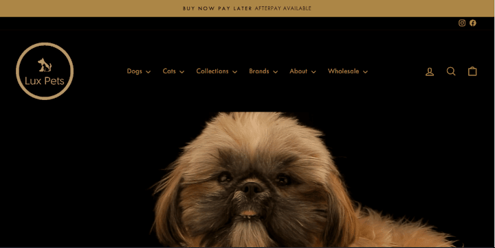 Cover image for Lux Pets: Crafting an Elevated Online Experience for Discerning