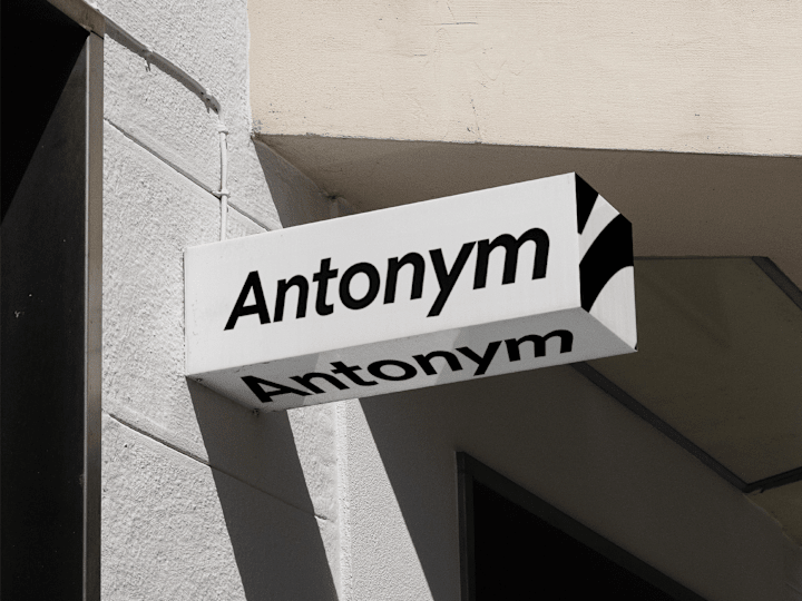 Cover image for Antonym Branding