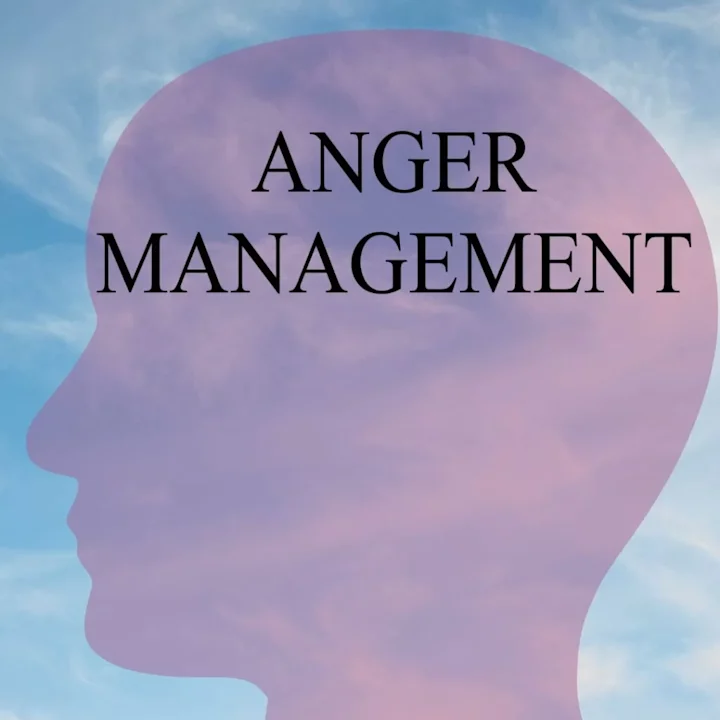 Cover image for Anger Management And Adrenaline